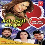 Meri Pahli Mehbooba - Teena Parveen Song Download